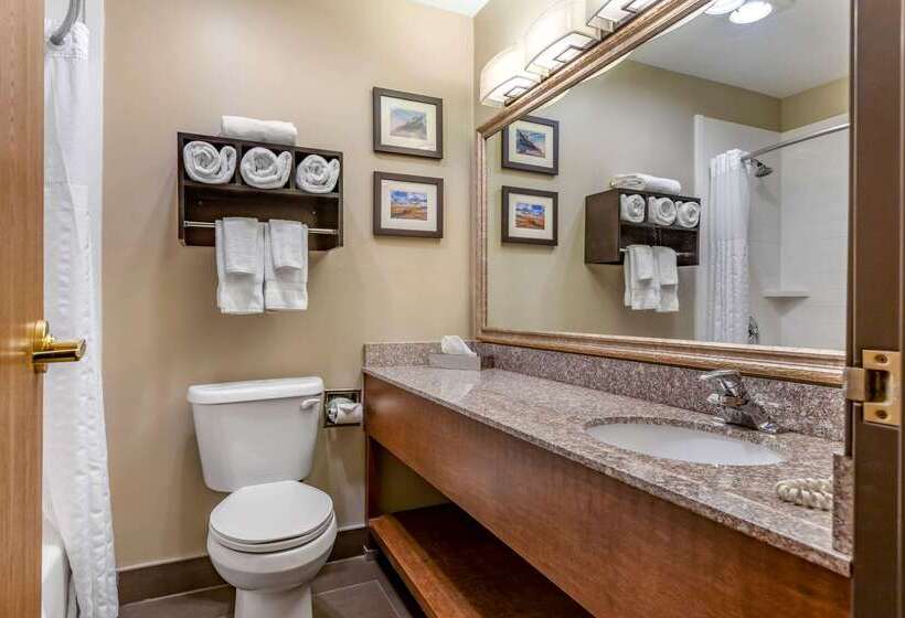 Отель Comfort Inn Ludington Near Us 10