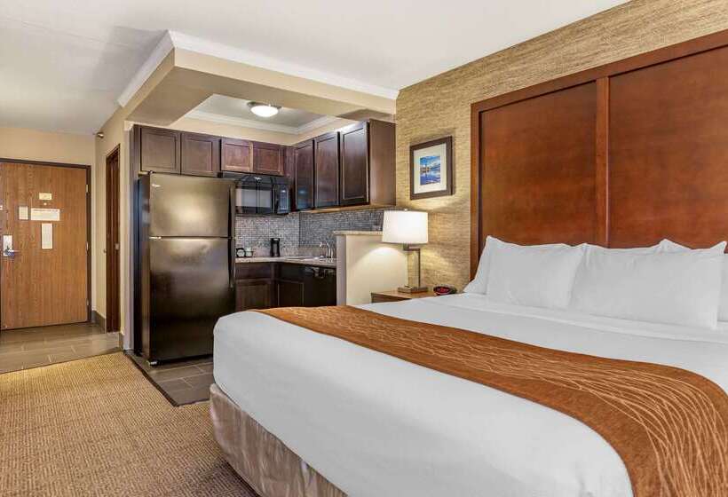 Отель Comfort Inn Ludington Near Us 10