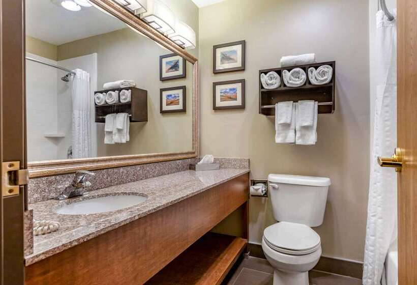 Отель Comfort Inn Ludington Near Us 10