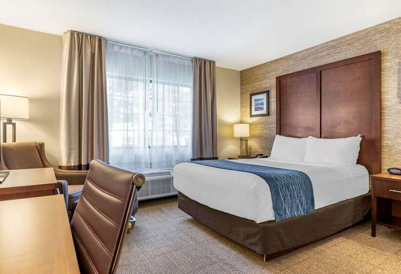 Отель Comfort Inn Ludington Near Us 10