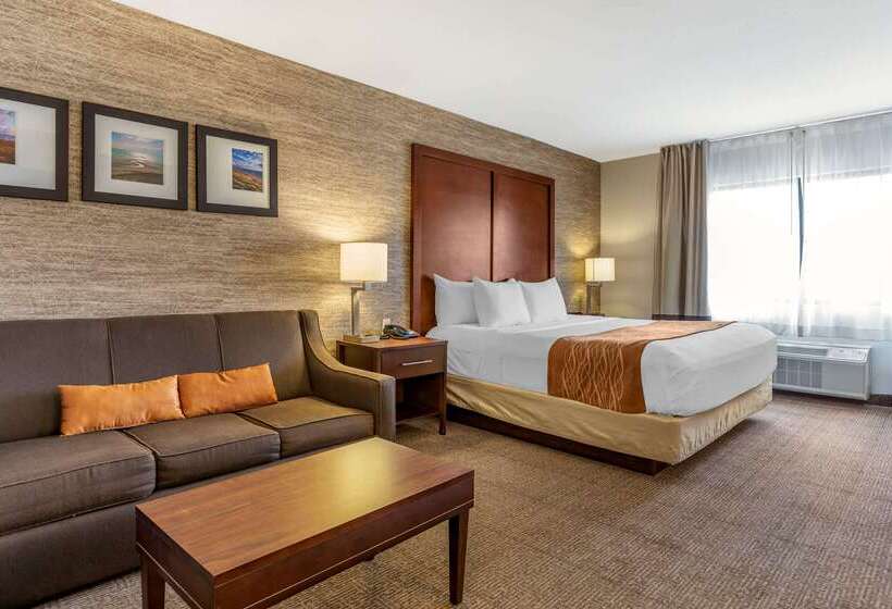 Отель Comfort Inn Ludington Near Us 10