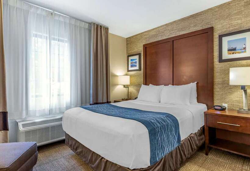 Отель Comfort Inn Ludington Near Us 10