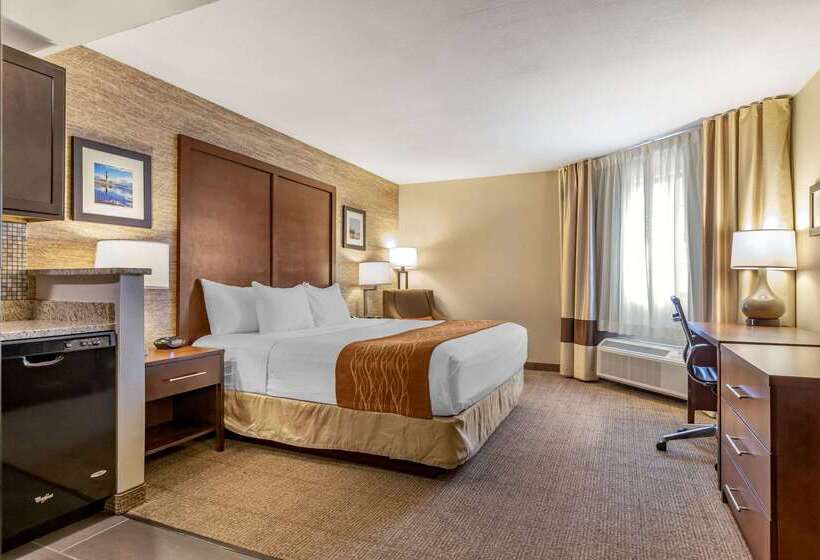 Отель Comfort Inn Ludington Near Us 10