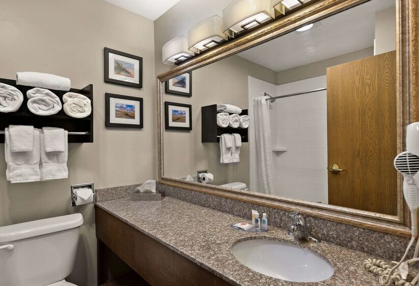 Отель Comfort Inn Ludington Near Us 10