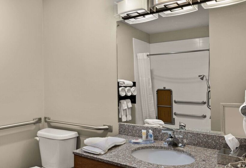 Отель Comfort Inn Ludington Near Us 10