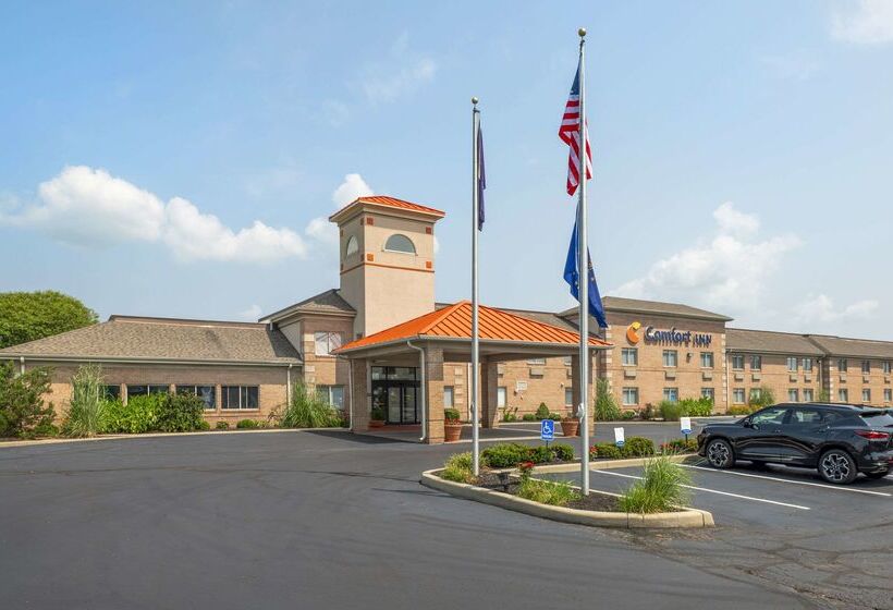فندق Comfort Inn Near Indiana Premium Outlets
