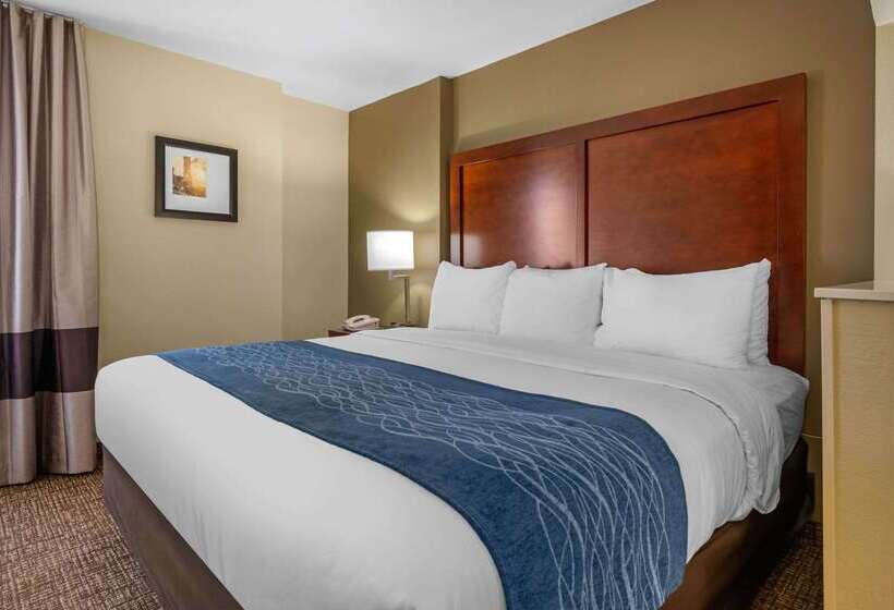 فندق Comfort Inn Ocala Silver Springs