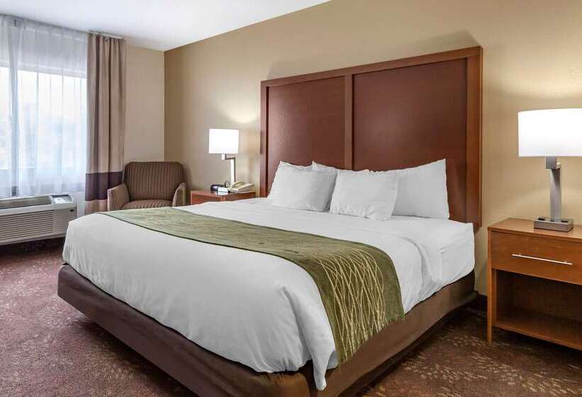 فندق Comfort Inn Okemos  East Lansing