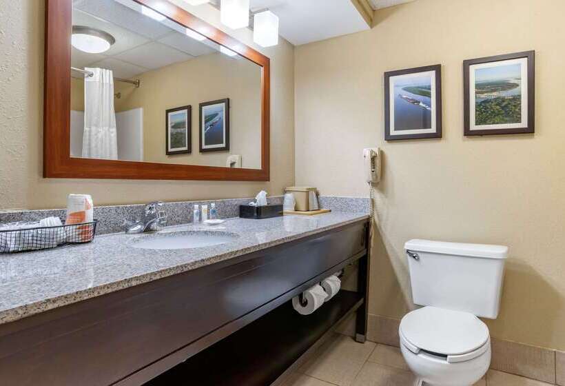 فندق Comfort Inn Pearl Jackson