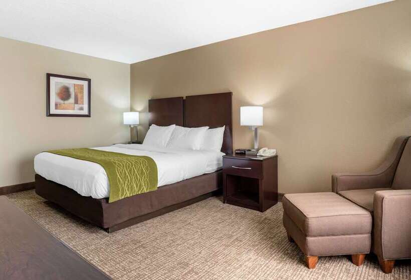 فندق Comfort Inn Pearl Jackson