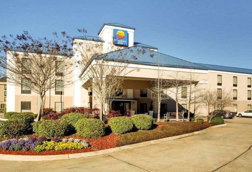 فندق Comfort Inn Pearl Jackson