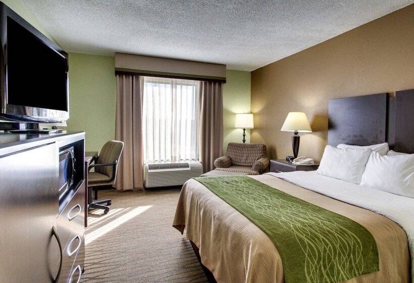 فندق Comfort Inn Pearl Jackson