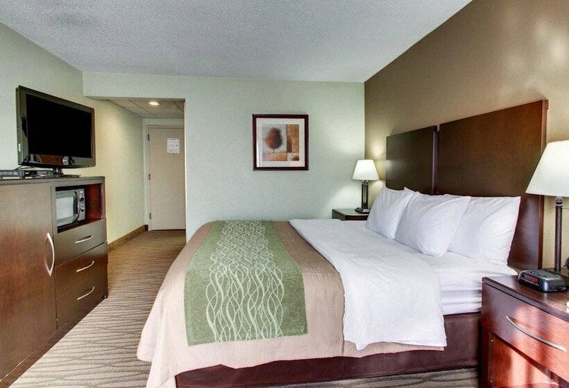 فندق Comfort Inn Pearl Jackson