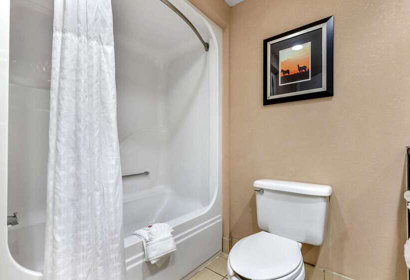 בית מלון כפרי Comfort Inn & Suites Asheboro East