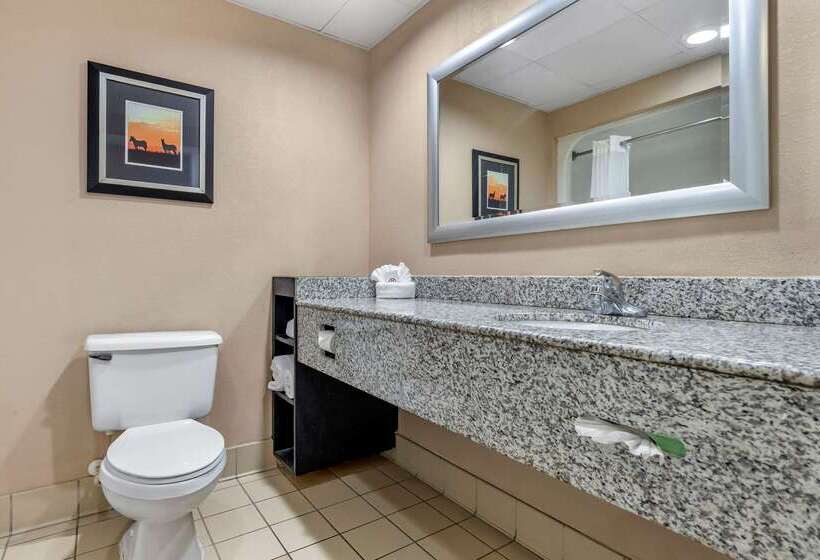 فندق Comfort Inn & Suites Asheboro East