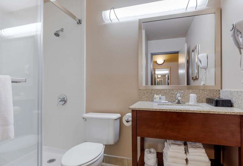 فندق Comfort Inn & Suites Boulder