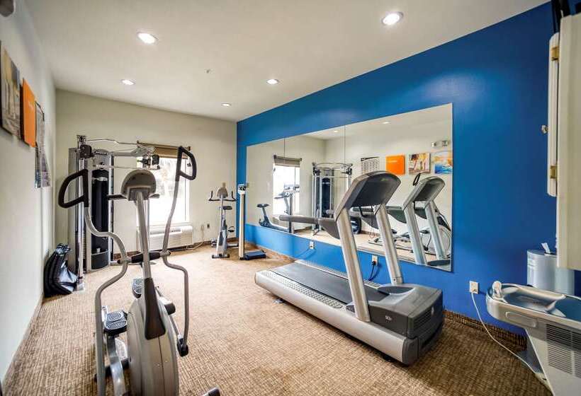 Отель Comfort Inn & Suites Fm1960 Champions