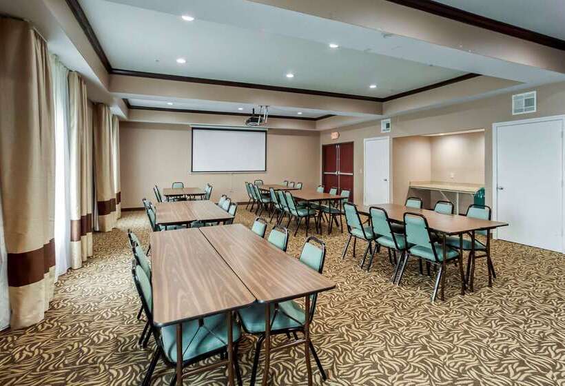 Отель Comfort Inn & Suites Fm1960 Champions