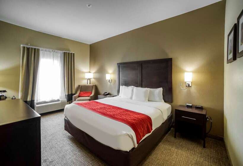 Отель Comfort Inn & Suites Fm1960 Champions