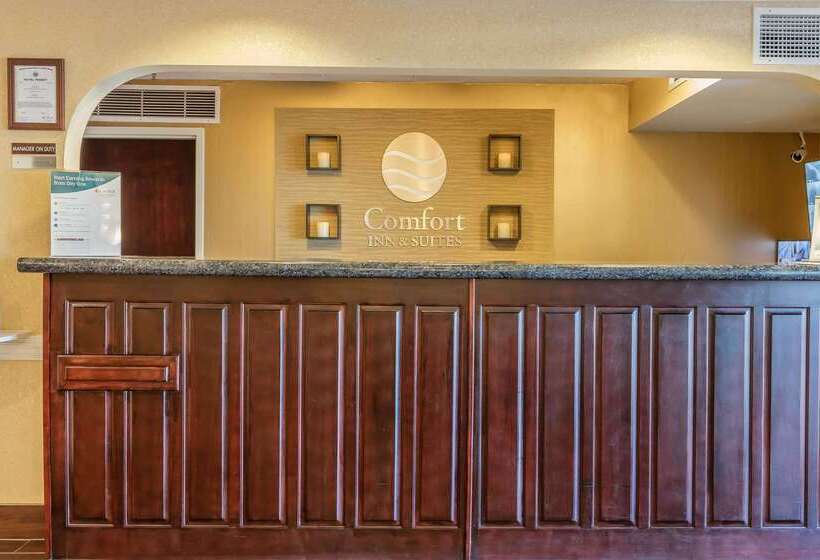 בית מלון כפרי Comfort Inn & Suites Jasper Hwy 78 West