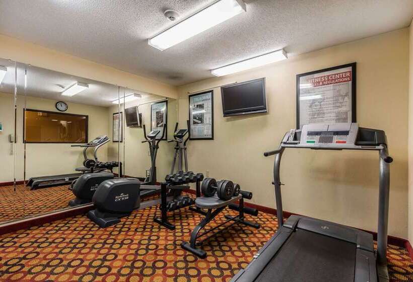 בית מלון כפרי Comfort Inn & Suites Jasper Hwy 78 West