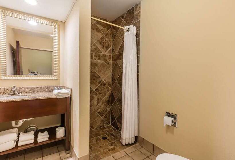 בית מלון כפרי Comfort Inn & Suites Jasper Hwy 78 West