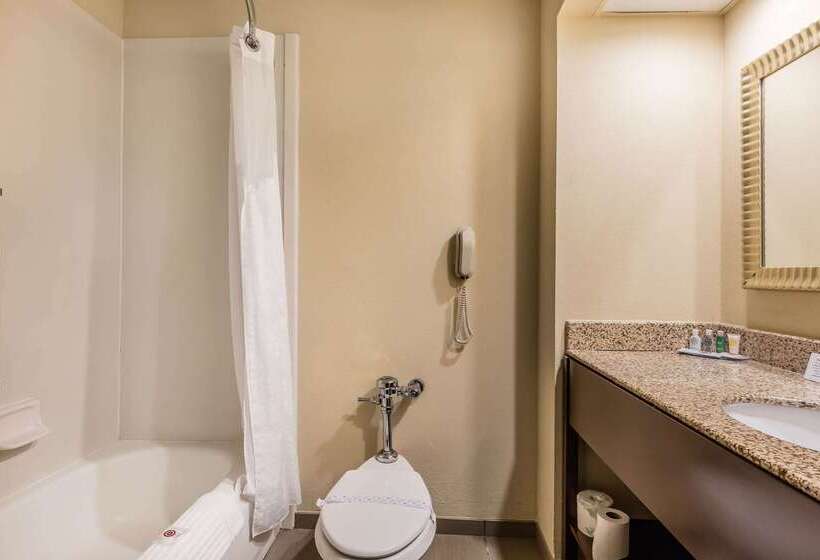 בית מלון כפרי Comfort Inn & Suites Jasper Hwy 78 West