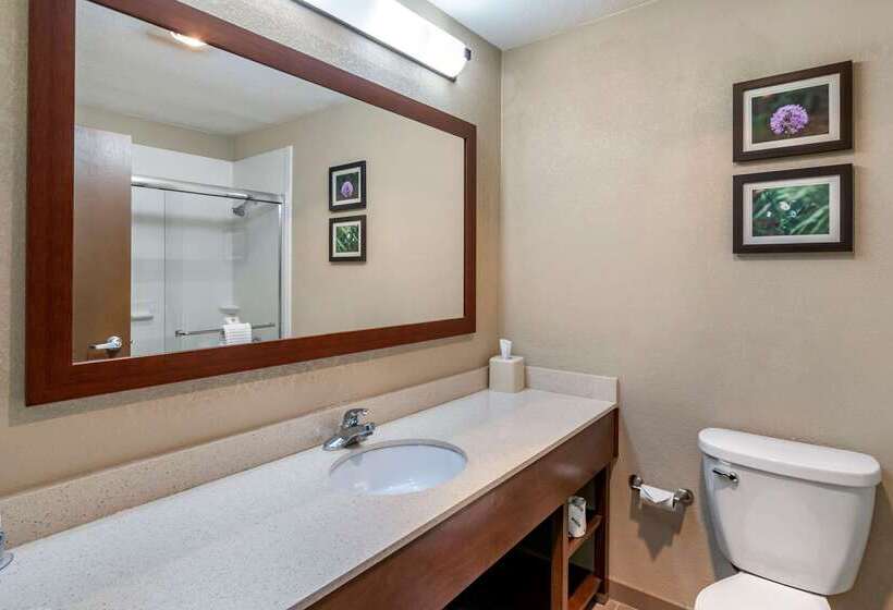 בית מלון כפרי Comfort Inn & Suites Junction City  Near Fort Riley