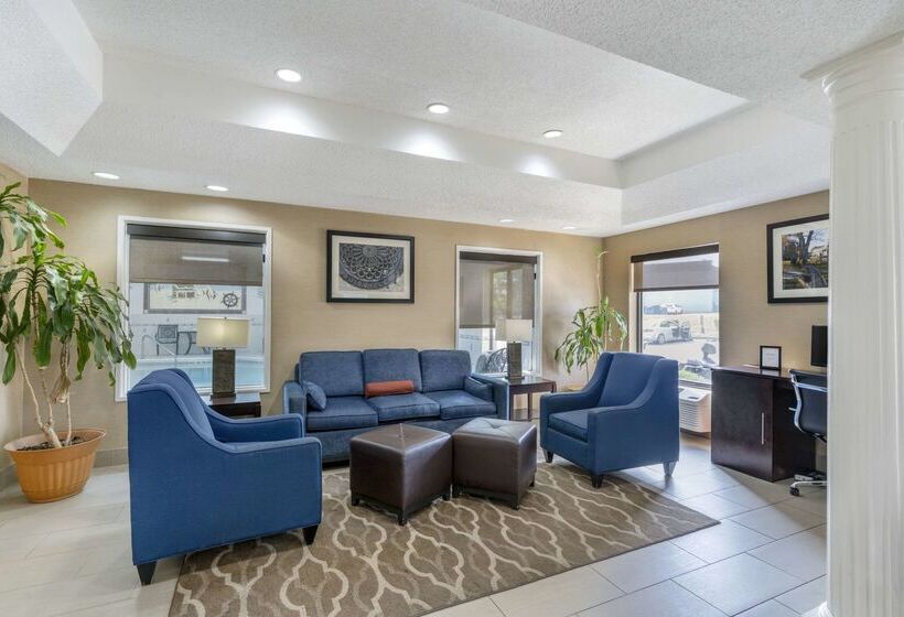 酒店 Comfort Inn & Suites