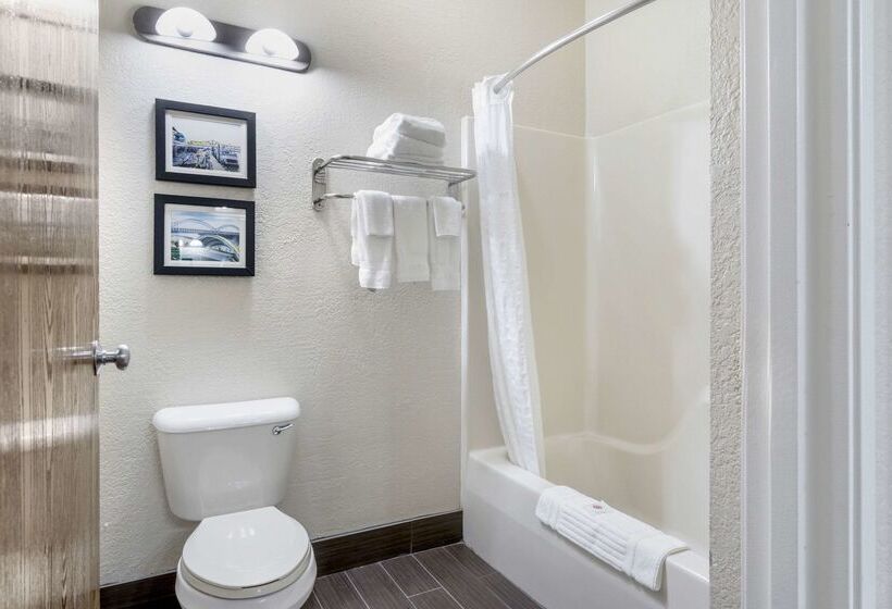 酒店 Comfort Inn & Suites