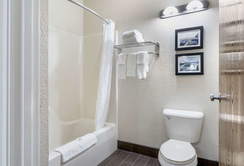 酒店 Comfort Inn & Suites