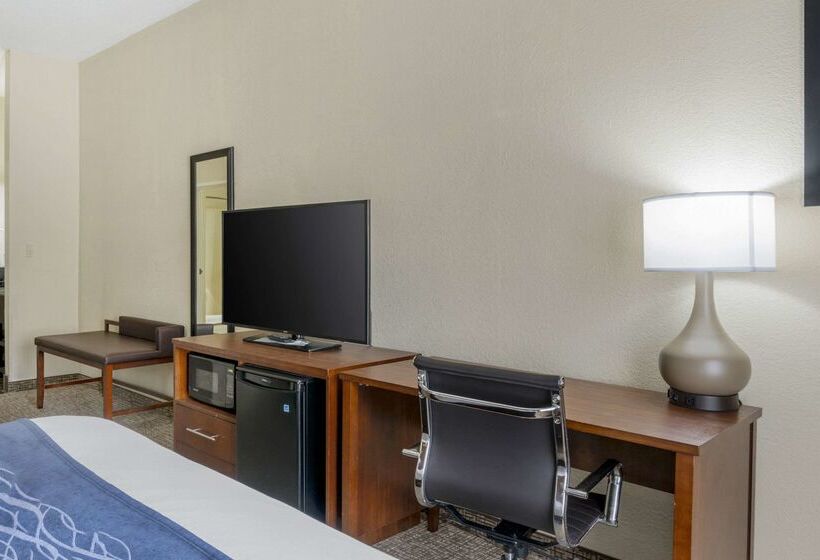 酒店 Comfort Inn & Suites