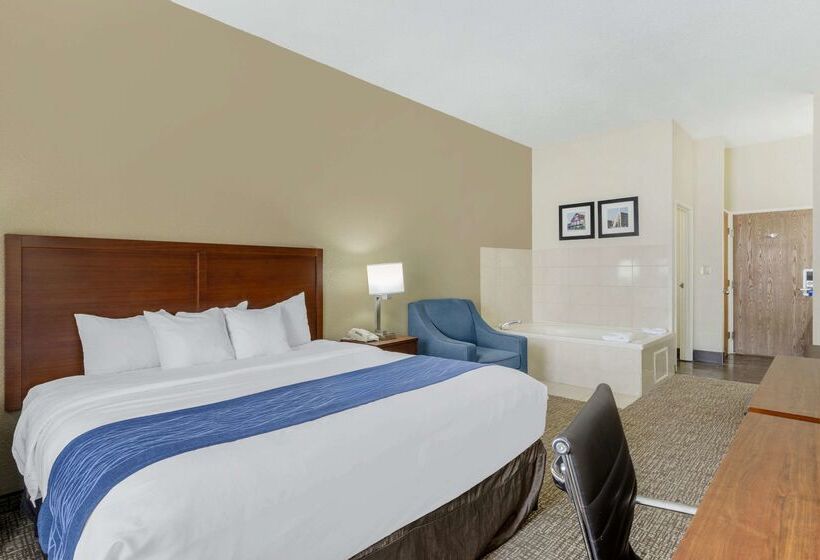 酒店 Comfort Inn & Suites