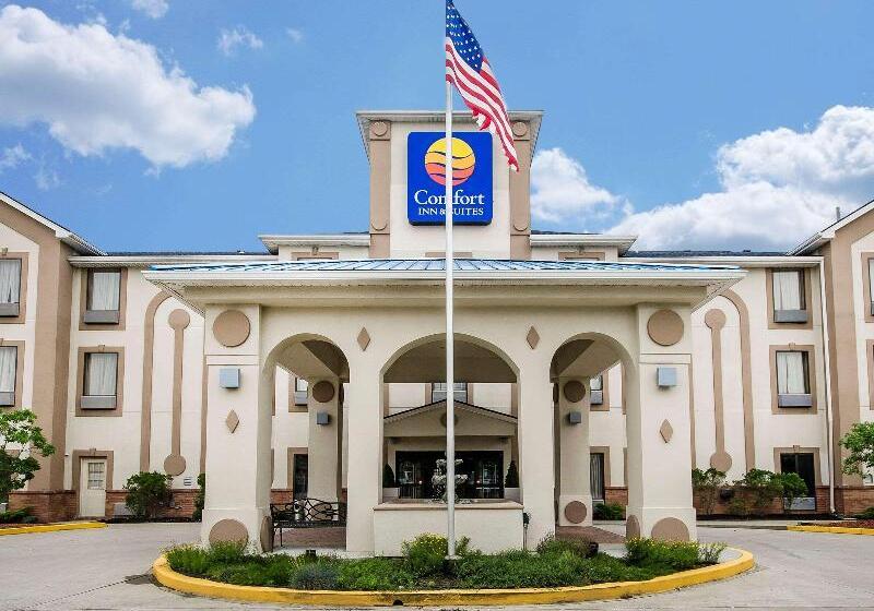 酒店 Comfort Inn & Suites