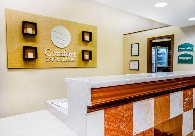 酒店 Comfort Inn & Suites