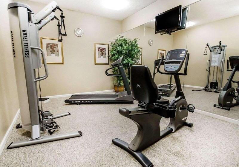 酒店 Comfort Inn & Suites