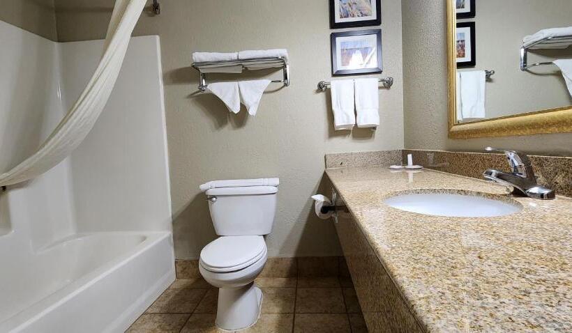 فندق Comfort Inn & Suites