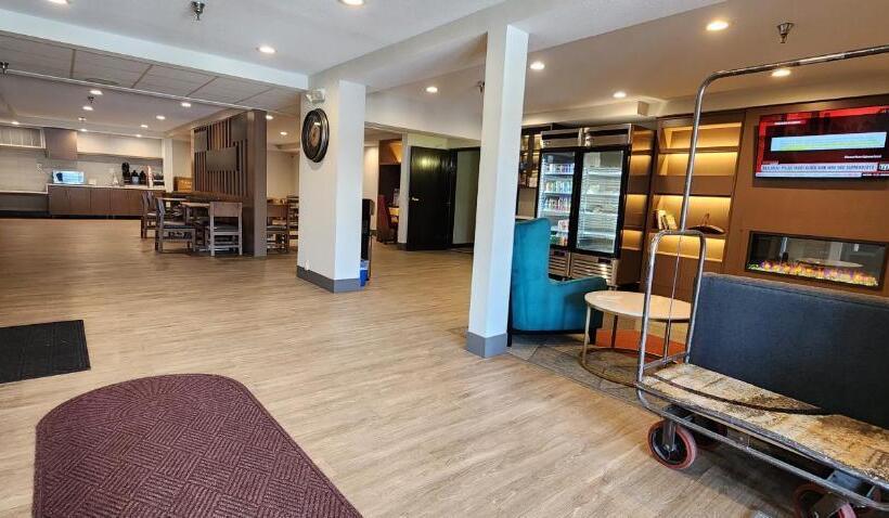 فندق Comfort Inn & Suites