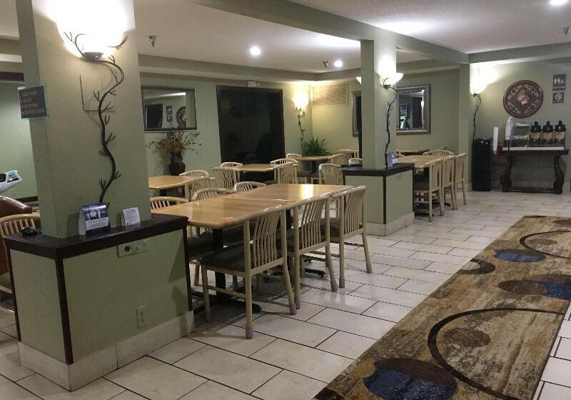 فندق Comfort Inn & Suites