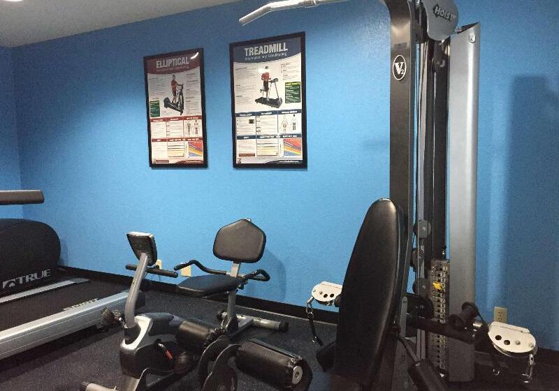 فندق Comfort Inn & Suites