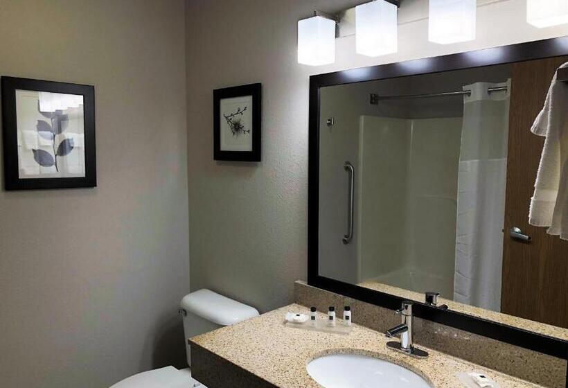 فندق Country Inn & Suites By Radisson Mt. Pleasantracine West Wi