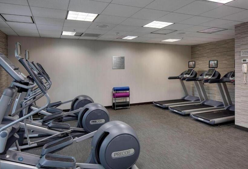 בית מלון כפרי Courtyard By Marriott Boston Logan Airport