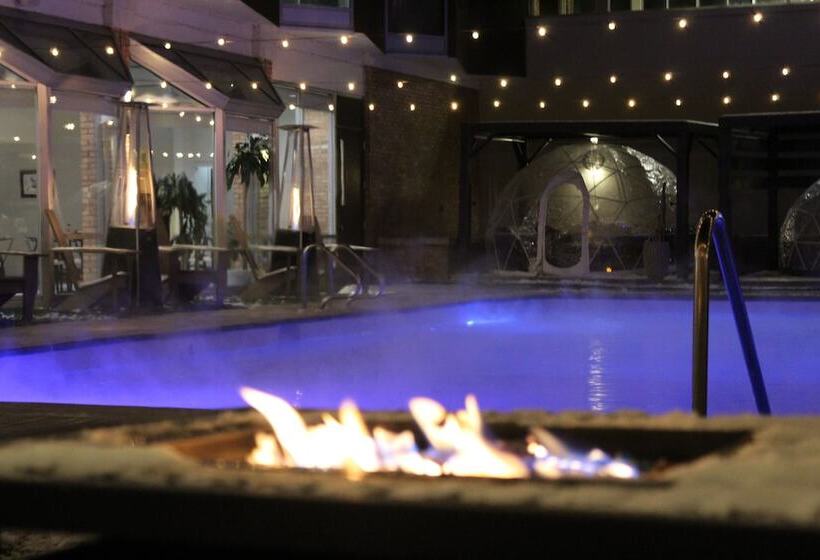 בית מלון כפרי Delamar Traverse City