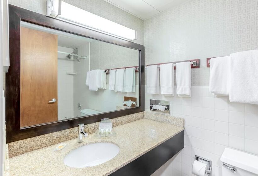 בית מלון כפרי Delamar Traverse City