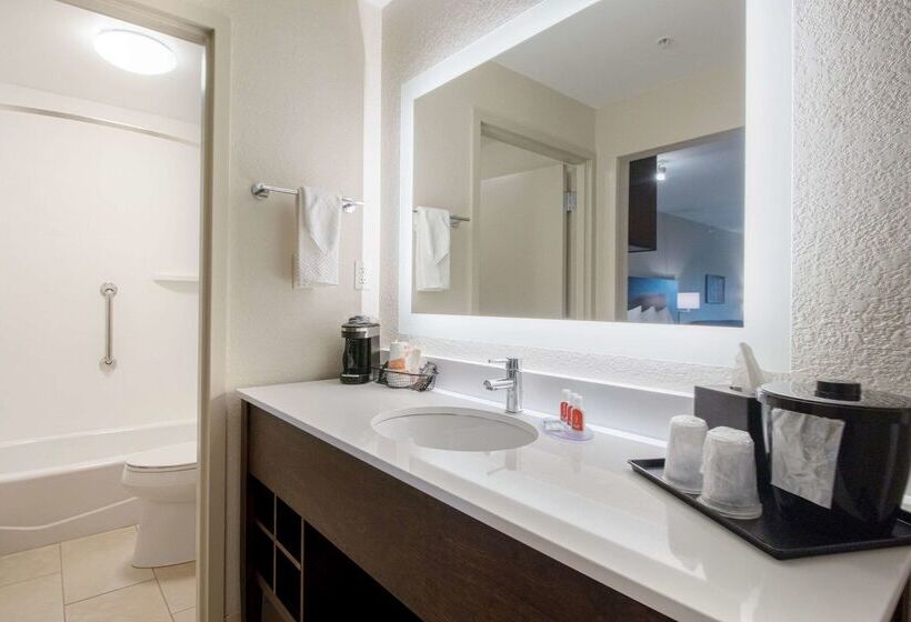 호텔 Econo Lodge Inn & Suites Foleynorth Gulf Shores