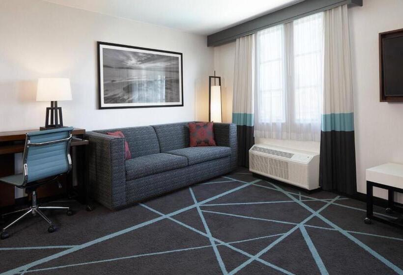 هتل Fairfield Inn & Suites By Marriott Camarillo