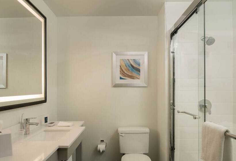 فندق Four Points By Sheraton Dallas Arlington Entertainment District