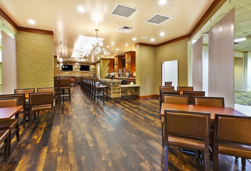 فندق Holiday Inn & Suites Bolingbrook, An Ihg