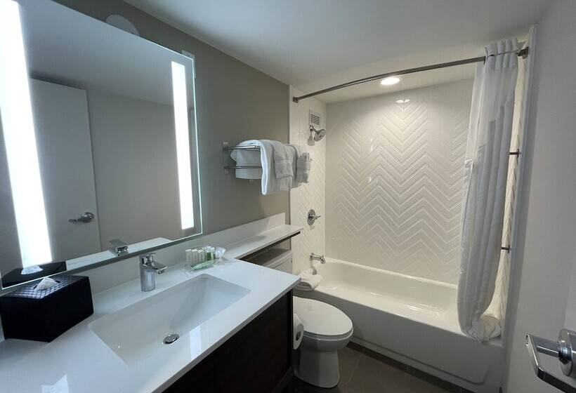 Holiday Inn Hotel & Suites Chicago   Downtown, An Ihg