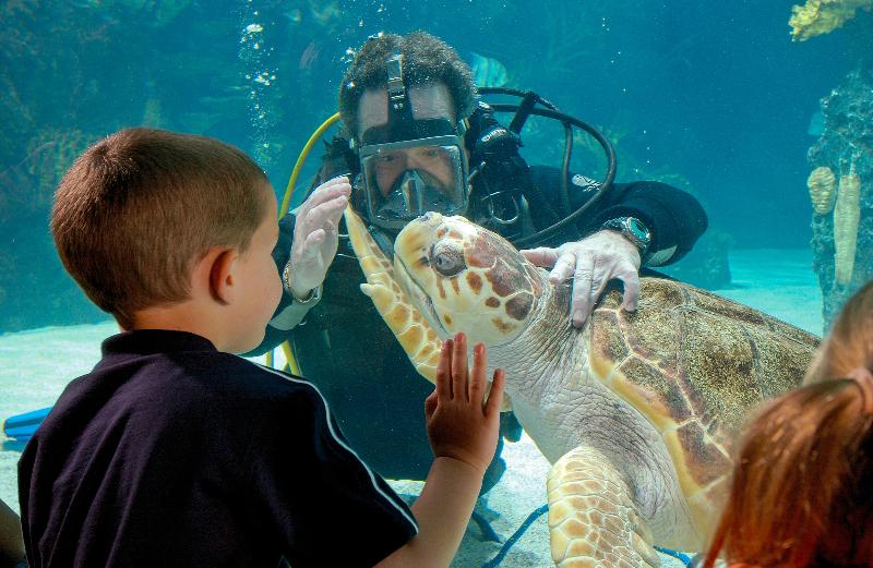 בית מלון כפרי Holiday Inn Cincinnati Airport, An Ihg